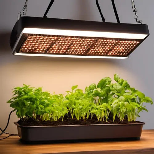 8 Best Grow Lights for Year-Round Indoor Gardening