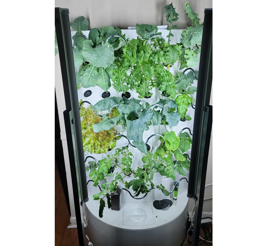 The iHarvest® | Complete Package | Hydroponic Tower