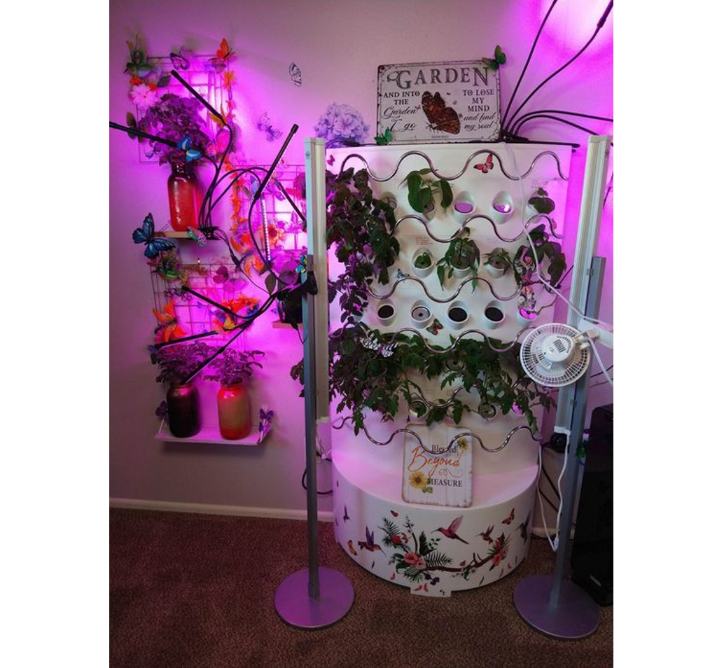 The iHarvest® | Complete Package | Hydroponic Tower