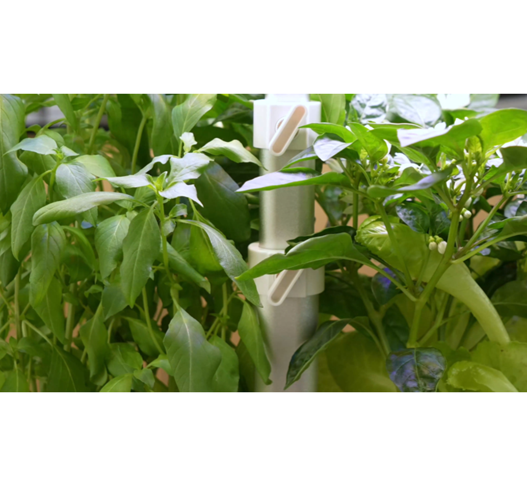 uHarvest® | Tabletop Garden | 12 planter