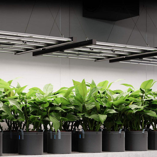 COMMERCIAL LED GROW LIGHT